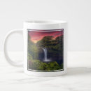 Search for water falls mugs Forest