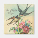 Search for swallow magnets Vintage
