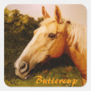 Search for palomino horse stickers For kids