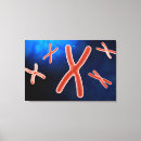 Search for digitally generated image canvas prints Dna