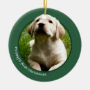 Search for labrador retriever christmas tree decorations Puppy's first christmas