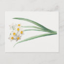 Search for delicate horizontal postcards Minimalist