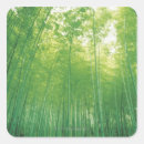 Search for bamboo forest stickers Green