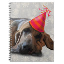 Search for bloodhound notebooks Animals