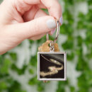 Search for gas giant key rings Science