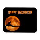 Search for cat magnets Orange