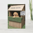 Search for booth cards Cute