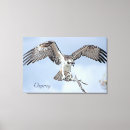 Search for wingspan art Raptor