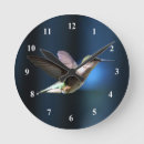 Search for ruby throated art Archilochus colubris