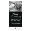 Search for spa rack cards Elegant