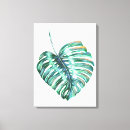 Search for palm leaf canvas prints Monstera