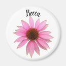 Search for coneflower magnets Echinacea