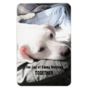 Search for nothing rectangular magnets Funny