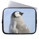 Search for penguin laptop cases Animals