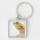 Search for bearded dragon key rings Cold blooded