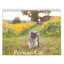 Search for persian cat gifts Feline