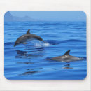Search for dolphin mouse mats Happy
