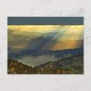 Search for cloud forest postcards Tree