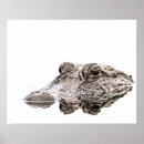 Search for crocodile art Florida