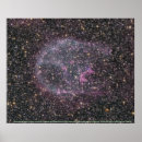 Search for evolution posters Star