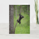 Search for limb cards Jaynes gallery