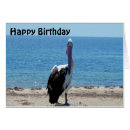 Search for handsome cards Bird