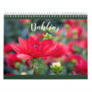 Search for dahlia calendars Blossoms