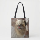Search for shih tzu bags Pets