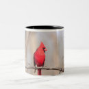 Search for male cardinal mugs Songbird