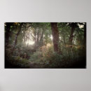 Search for fairy tree posters Woods