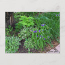 Search for purple garden flowers postcards Leaves