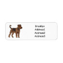 Search for yorkshire terrier return address labels Pet