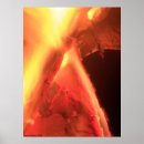Search for blaze posters Orange