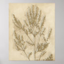 Search for foliage posters Leaves