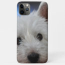 Search for westie terrier iphone cases Cute