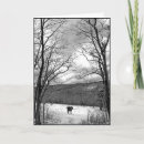 Search for equus cards Horse