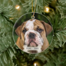 Search for english bulldog christmas tree decorations Cute