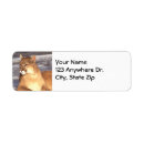 Search for puma return address labels Mountain lion