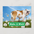 Search for dog jokes invitations Pet