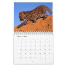 Search for leopard print office supplies Africa