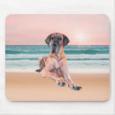 Search for great dane mouse mats Pet