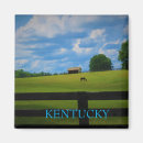 Search for pasture magnets Sky