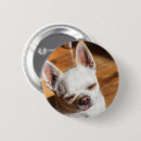 Search for sleepy badges Animals