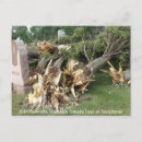 Search for disaster postcards Natural disasters