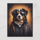 Search for jacket postcards Cool