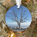 Search for georgia christmas tree decorations Ocean