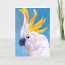 Search for exotic animals cards Birds