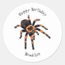 Search for cartoon spider stickers Insect