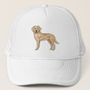 Search for yellow lab hats Pet