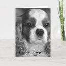 Search for deepest Dog